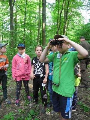 Foto des Albums: Waldjugendspiele Klasse 3