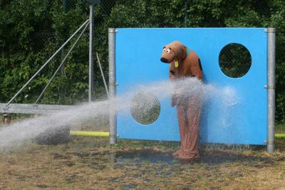 Foto des Albums: 21. Feuerwehr-Fußballturnier der FF Seester