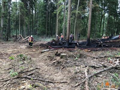 Foto des Albums: Einsatz 1232-B-Wald-Gransee Ri Meseberg