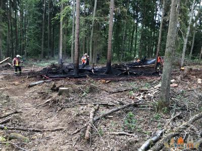 Foto des Albums: Einsatz 1232-B-Wald-Gransee Ri Meseberg