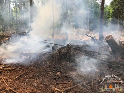 Foto des Albums: Einsatz 1232-B-Wald-Gransee Ri Meseberg