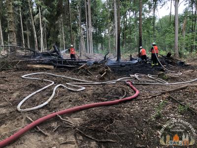 Foto des Albums: Einsatz 1232-B-Wald-Gransee Ri Meseberg