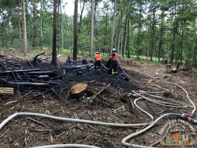 Foto des Albums: Einsatz 1232-B-Wald-Gransee Ri Meseberg