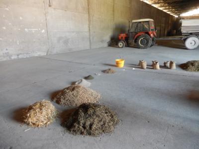 Foto des Albums: Tag der Landwirtschaft