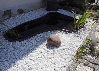Foto des Albums: WIRGarten