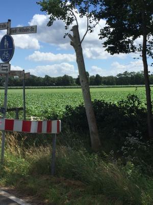 Foto des Albums: 2018_06_21_Einsatz1