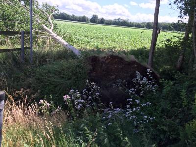 Foto des Albums: 2018_06_21_Einsatz1