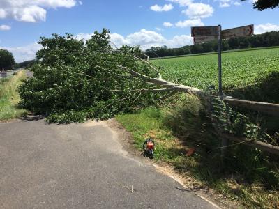 Foto des Albums: 2018_06_21_Einsatz1