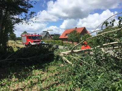 Foto des Albums: 2018_06_21_Einsatz1
