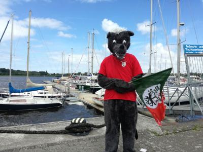 Foto des Albums: Großes Interesse an Pritzwalk beim Hansetag in Rostock