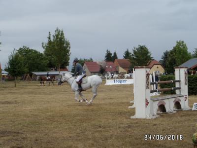 Foto des Albums: Reitturnier in Uenze