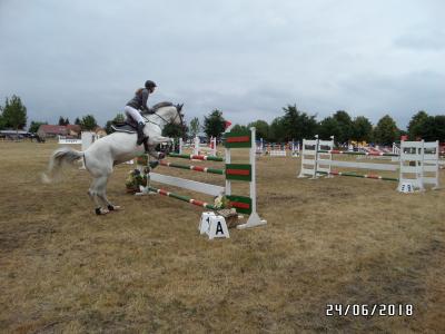 Foto des Albums: Reitturnier in Uenze