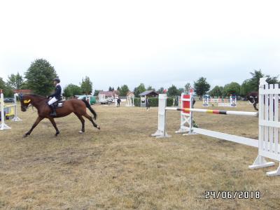 Foto des Albums: Reitturnier in Uenze
