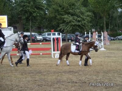 Foto des Albums: Reitturnier in Uenze