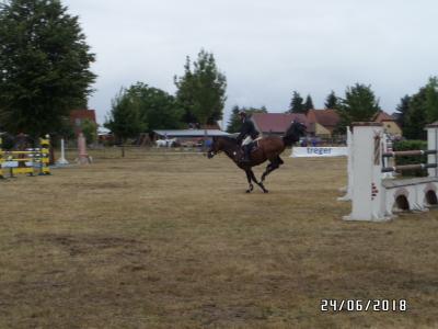 Foto des Albums: Reitturnier in Uenze