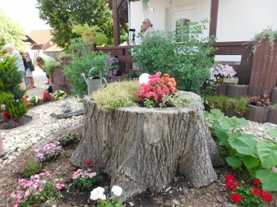 Foto des Albums: Offene Gärten