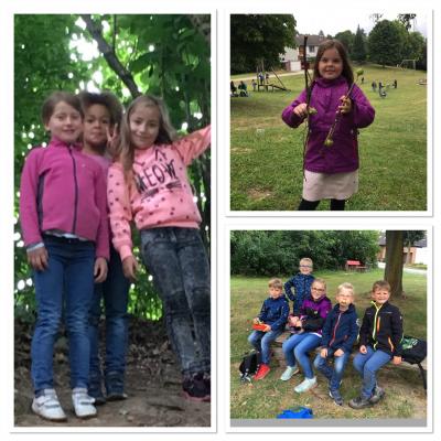 Foto des Albums: Schulwandertag