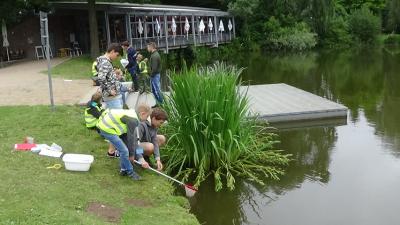 Foto des Albums: Aqua Agenten: Keschern in den Steindammwiesen