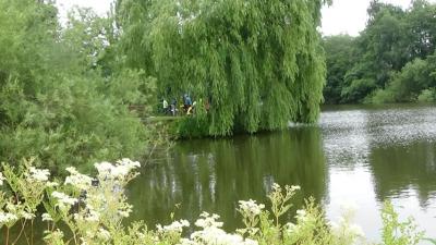 Foto des Albums: Aqua Agenten: Keschern in den Steindammwiesen