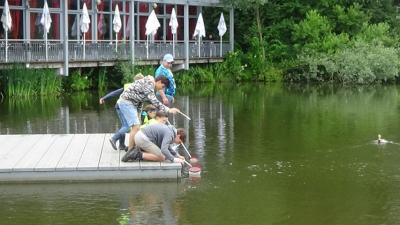 Foto des Albums: Aqua Agenten: Keschern in den Steindammwiesen