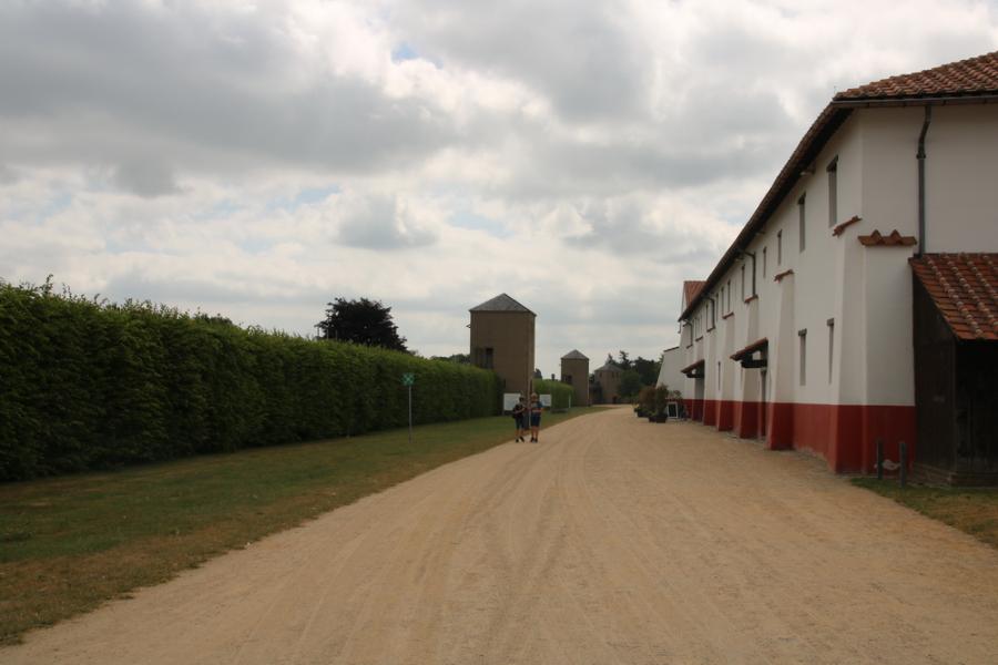 Bild der Galerie