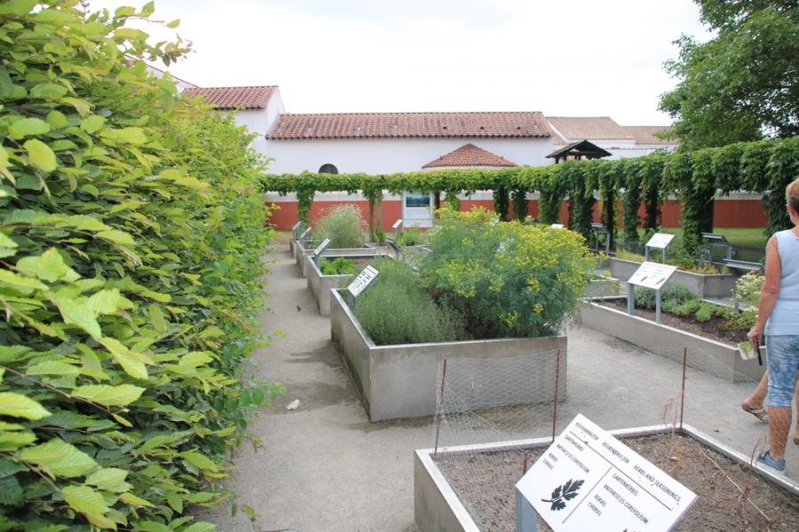 Bild der Galerie