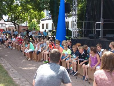 Foto des Albums: Jazz im Park - Cajon spielen