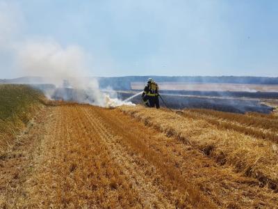 Foto des Albums: Feldbrand - Langenhennersdorf (03. 07. 2018)