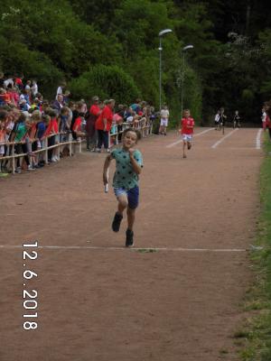 Foto des Albums: Sportfest 2018