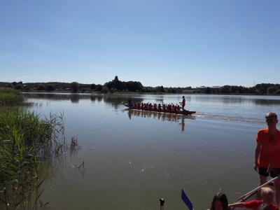 Foto des Albums: Drachenboot