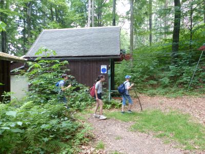 Foto des Albums: Abschlussfahrt Klasse 6 nach Sebnitz