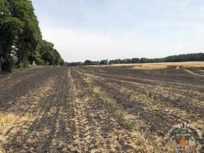 Foto des Albums: Einsatz 1603-B-Fläche Meseberg Ri Baumgarten