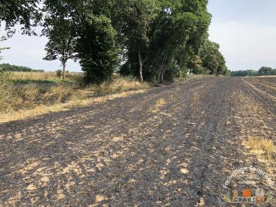 Foto des Albums: Einsatz 1603-B-Fläche Meseberg Ri Baumgarten