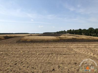 Foto des Albums: Einsatz 1603-B-Fläche Meseberg Ri Baumgarten