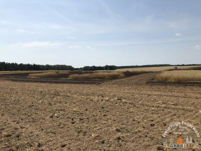 Foto des Albums: Einsatz 1603-B-Fläche Meseberg Ri Baumgarten