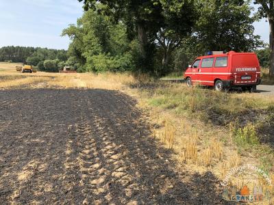 Foto des Albums: Einsatz 1603-B-Fläche Meseberg Ri Baumgarten