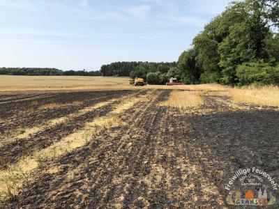Foto des Albums: Einsatz 1603-B-Fläche Meseberg Ri Baumgarten