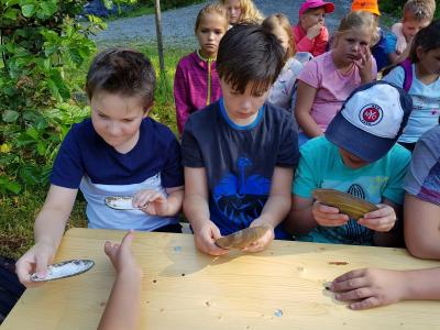 Foto des Albums: Abschluss-4b