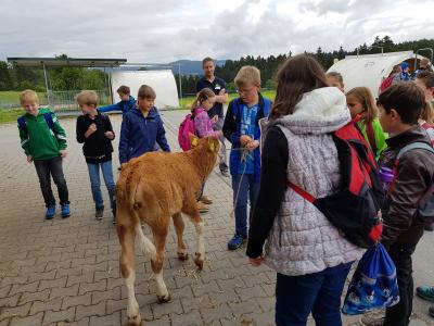 Foto des Albums: Abschluss-4b
