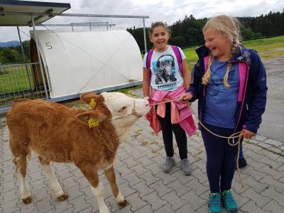 Foto des Albums: Abschluss-4b
