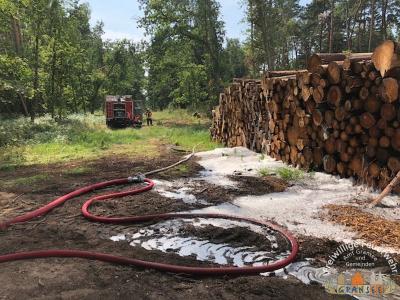 Foto des Albums: Einsatz 1631-B-Wald-Gransee Stadtwald Ri Meseberg