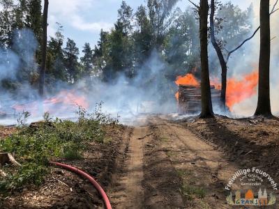 Foto des Albums: Einsatz 1631-B-Wald-Gransee Stadtwald Ri Meseberg