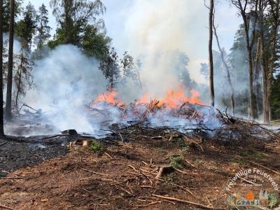 Foto des Albums: Einsatz 1631-B-Wald-Gransee Stadtwald Ri Meseberg