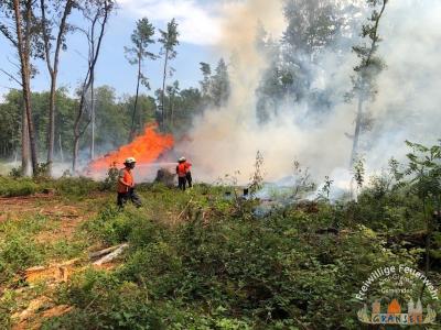 Foto des Albums: Einsatz 1631-B-Wald-Gransee Stadtwald Ri Meseberg