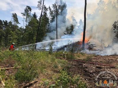 Foto des Albums: Einsatz 1631-B-Wald-Gransee Stadtwald Ri Meseberg
