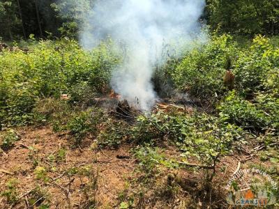 Foto des Albums: Einsatz 1631-B-Wald-Gransee Stadtwald Ri Meseberg