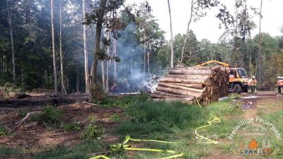 Foto des Albums: Einsatz 1631-B-Wald-Gransee Stadtwald Ri Meseberg