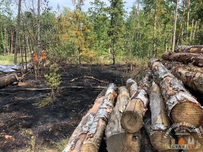 Foto des Albums: Einsatz 1631-B-Wald-Gransee Stadtwald Ri Meseberg