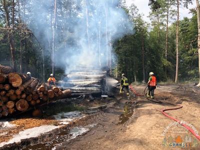 Foto des Albums: Einsatz 1631-B-Wald-Gransee Stadtwald Ri Meseberg