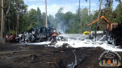 Foto des Albums: Einsatz 1631-B-Wald-Gransee Stadtwald Ri Meseberg